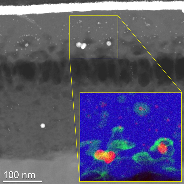 nano proteins