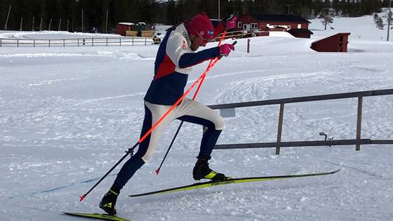 Top cross-country skiers go wicked fast – but they mostly train at low intensity