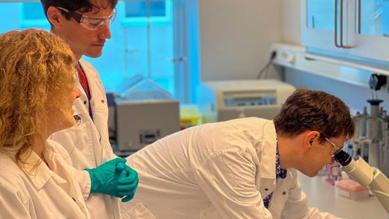 Research into disease prevention instead uncovers a method of repairing DNA