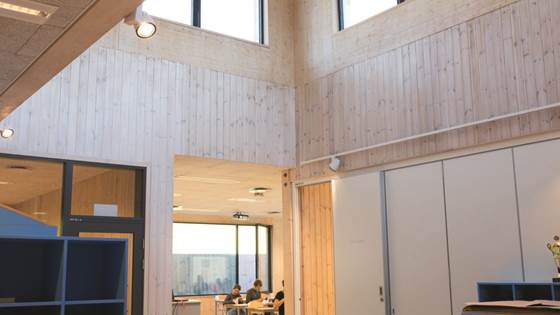 How does light impact our school pupils?