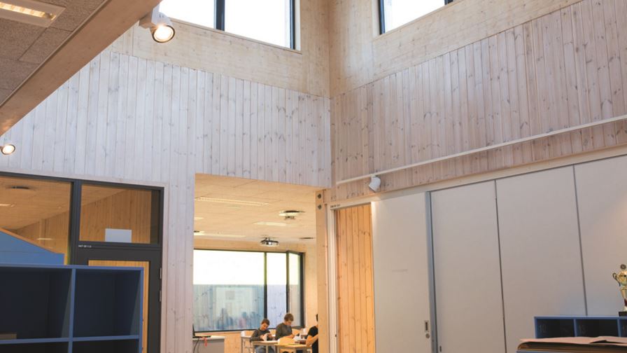 How does light impact our school pupils?