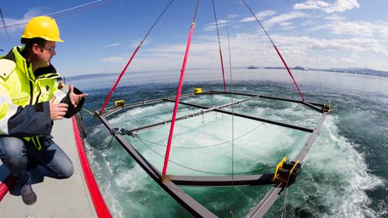 “It is by no means impossible to repair major pipeline damage on the seabed”