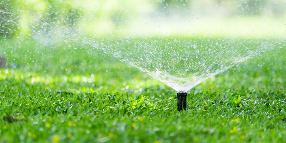 We must make better use of our global water resources.  Wastewater can be used to irrigate our parks and crops.  Photo: Shutterstock