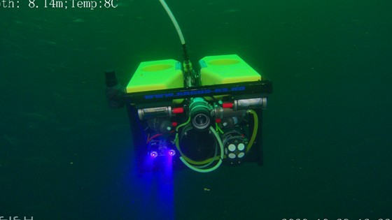 Deep learning may help to prevent salmon escapes in rough seas