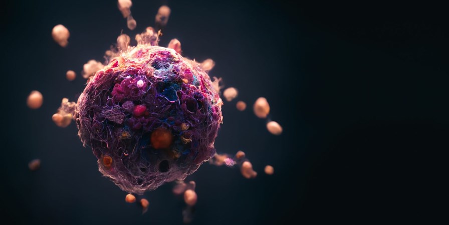 Combating severe cancer with a new drug delivery system - Vimarsana News
