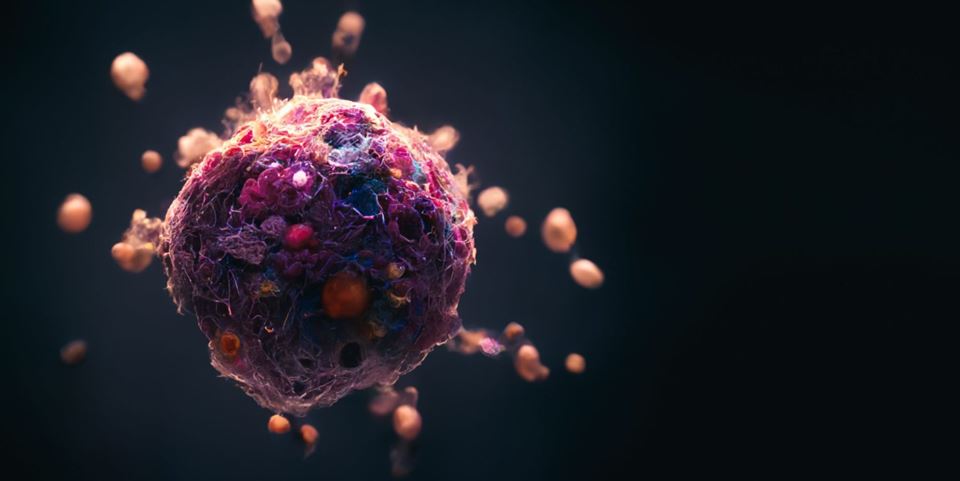 Combating severe cancer with a new drug delivery system - SINTEF