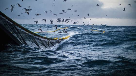 21,000 FTEs employed in the Norwegian fishing fleet