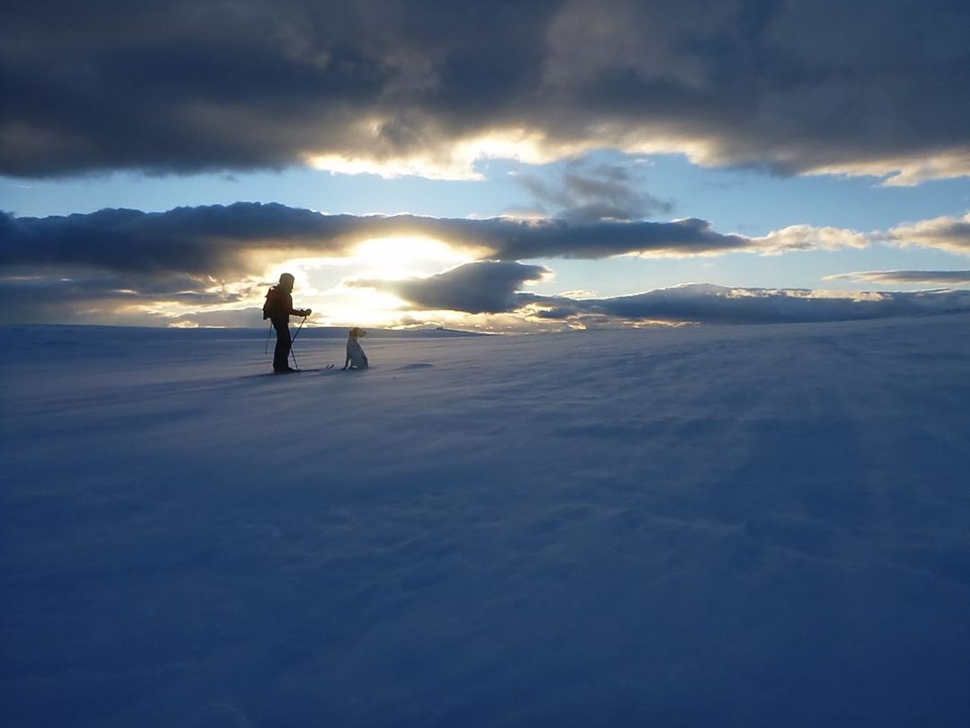 Very Cold Out The cold hard facts about your body and low temperatures - SINTEF