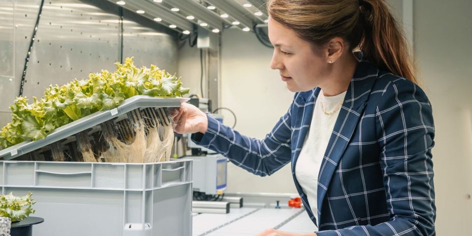 SINTEF researcher Galina Simonsen pictured here demonstrating the growing medium in the laboratory at the CIRiS/NTNU Social Research Centre in Trondheim. Photo: Jana Pavlova