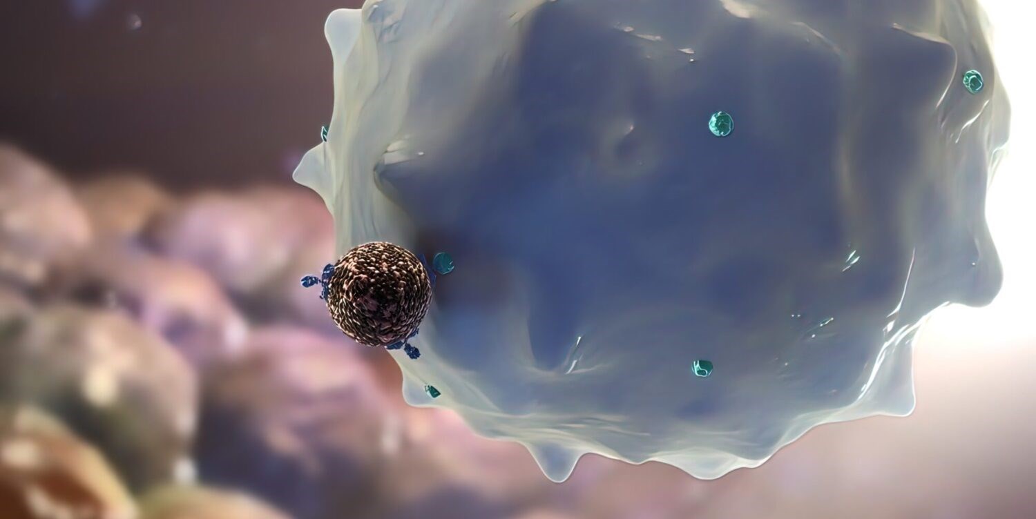 Using a patient’s immune cells to prevent the spread of cancer