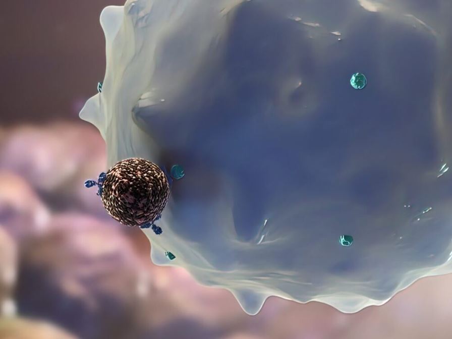 Using a patient’s immune cells to prevent the spread of cancer