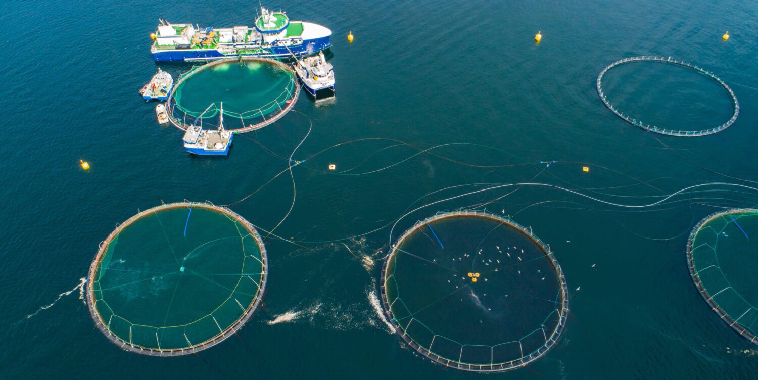 Fish farming: this new vessel concept will assist open ocean aquaculture