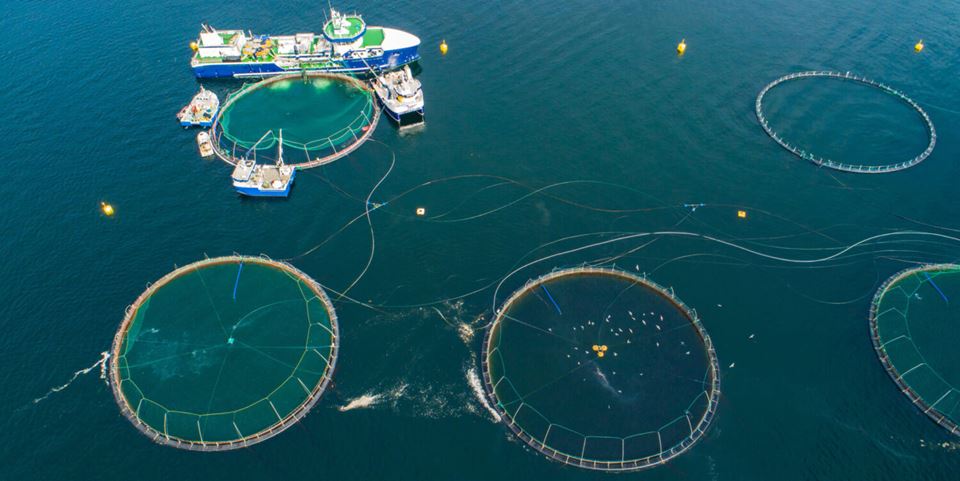Vessels used in operations linked to exposed offshore aquaculture facilities carry large amounts of equipment. They are expensive and demand efficient utilisation. Stock photo: iStock