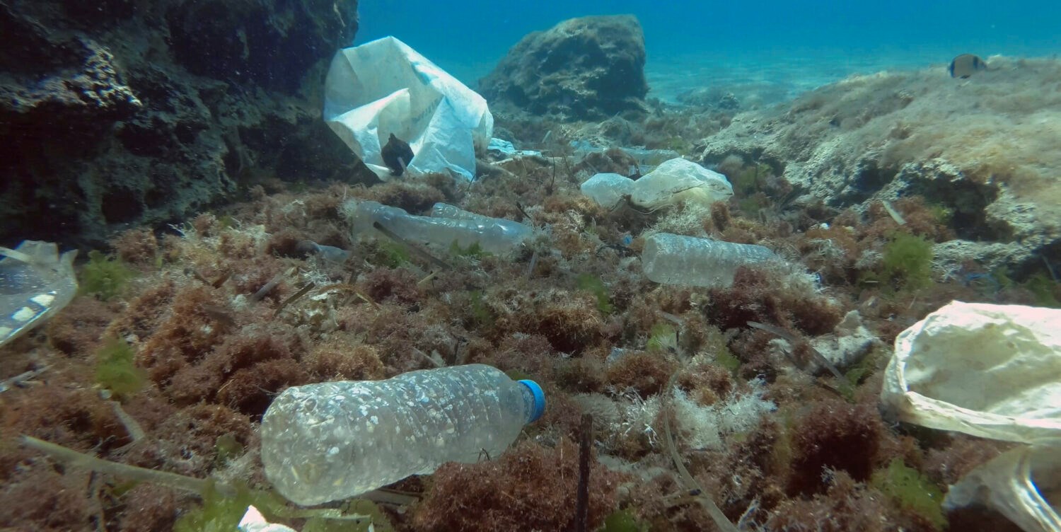 Marine plastic waste can spread antimicrobial resistance