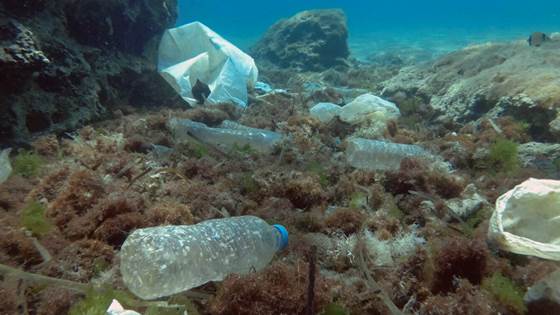 Marine plastic waste can spread antimicrobial resistance