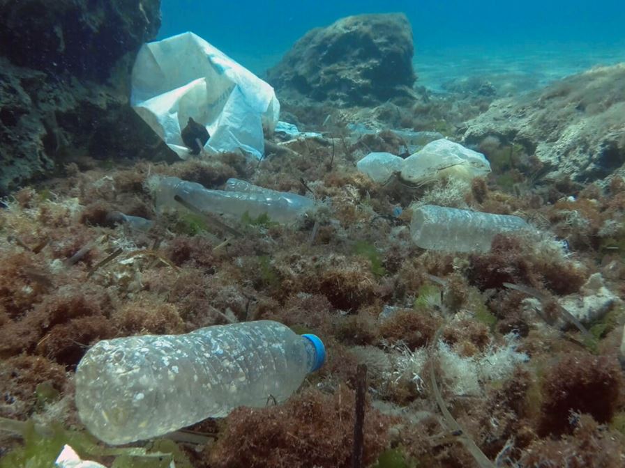 Marine plastic waste can spread antimicrobial resistance