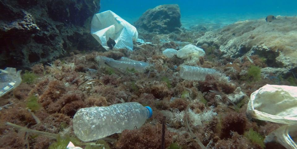 Researchers believe that marine plastic waste probably contributes to antimicrobial resistance. Photo: iStock/Andriy Nekrasov