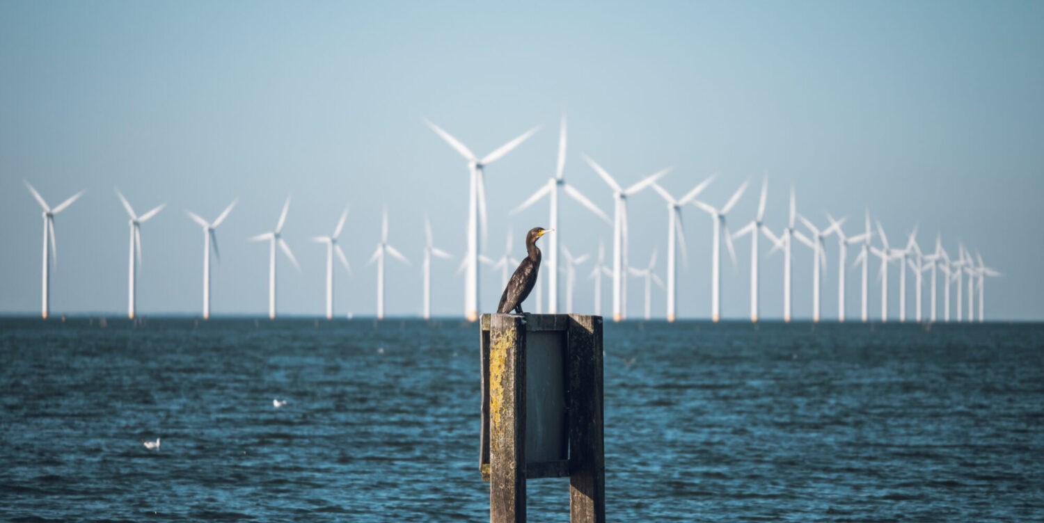 Active control of wind turbine speed can lead to fewer bird strikes
