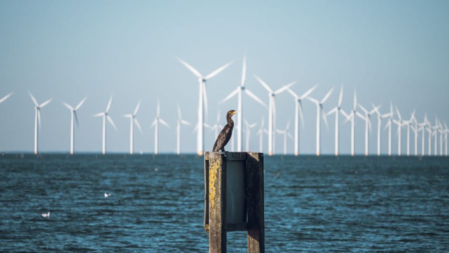 Active control of wind turbine speed can lead to fewer bird strikes