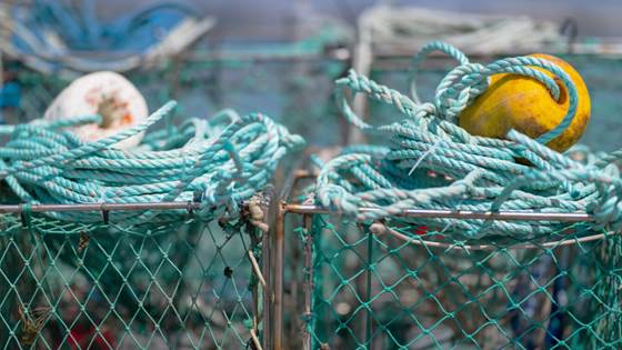 New guidelines for a greener seafood sector
