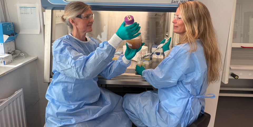 Researchers Gunhild Hageskal (left) and Anne Tøndervik at SINTEF are in no doubt that the combined issues of antibiotic resistance and animal welfare make it advisable to buy Norwegian-reared meat and fish.  Photo: Olav Spanne