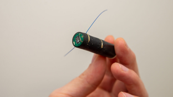 This tiny gadget can tell us all about how a farmed salmon is doing