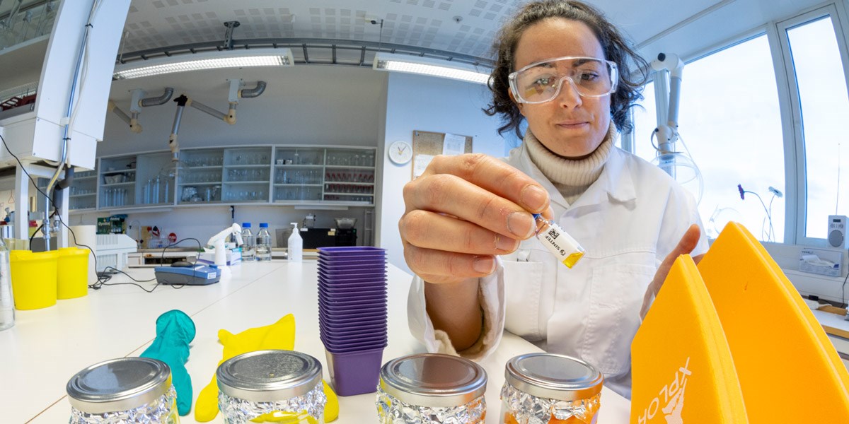 Researchers surprised at levels of toxicity in standard plastic products