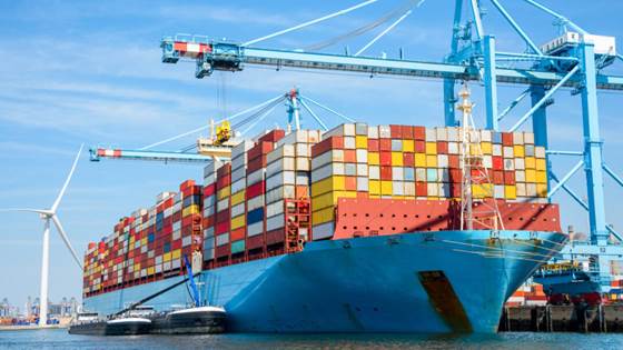 Bulk carriers can also be green