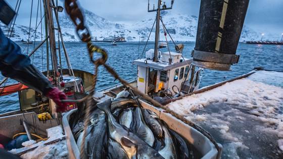 Fishers working from small vessels are at the greatest risk