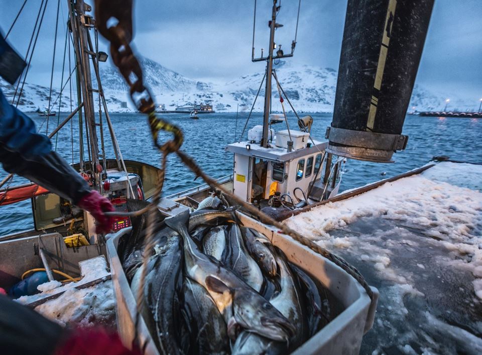 Sea fishing is a risky business and, according  to a recent SINTEF report, working alone on small vessels is the riskiest of all. On Monday, researchers had to add yet another fatality to the gloomy statistics. Stock photo: iStock/Piola666
