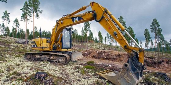 Development projects should be assessed according to the cumulative impact they have on nature - Vimarsana News