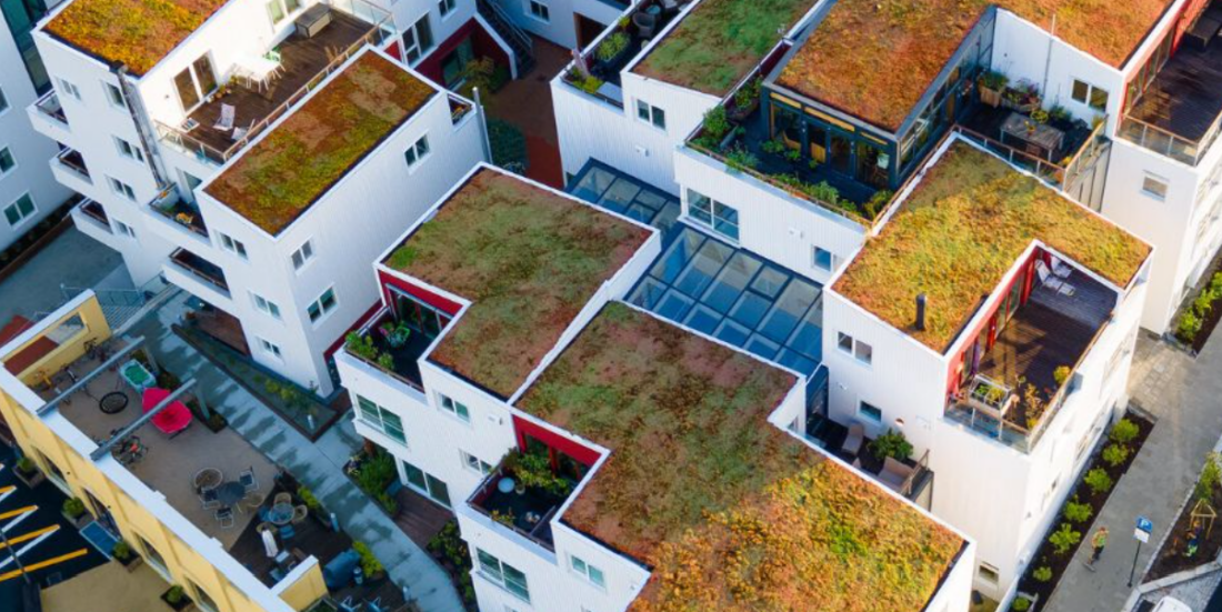 New guidelines for green roofs
