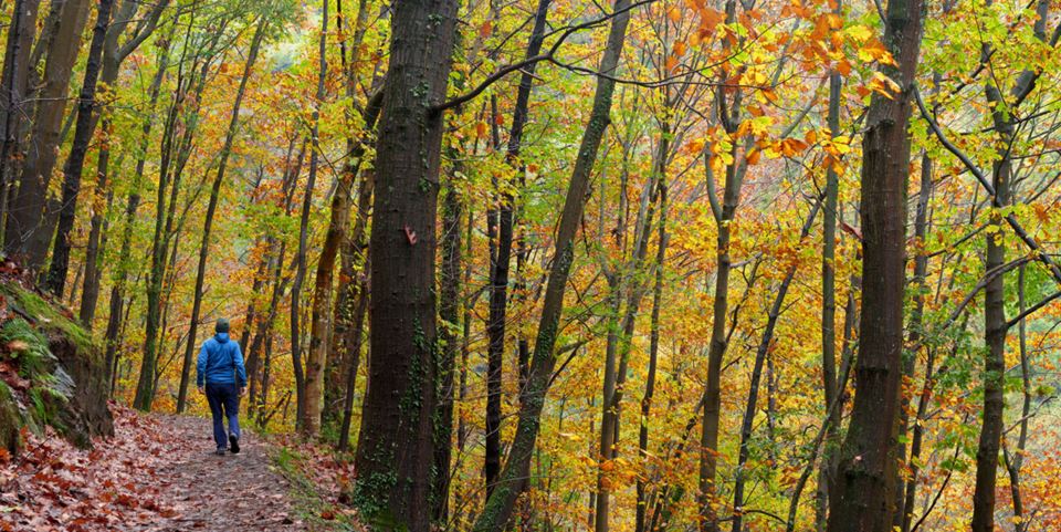 Researchers argue that it may be beneficial to take a walk or a jog in the woods or along the beach in the middle of your working day. Stock Photo: iStock