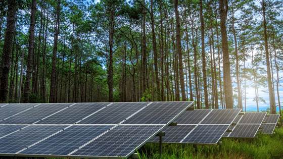 “Football pitch” metaphor is slide tackling the solar power debate
