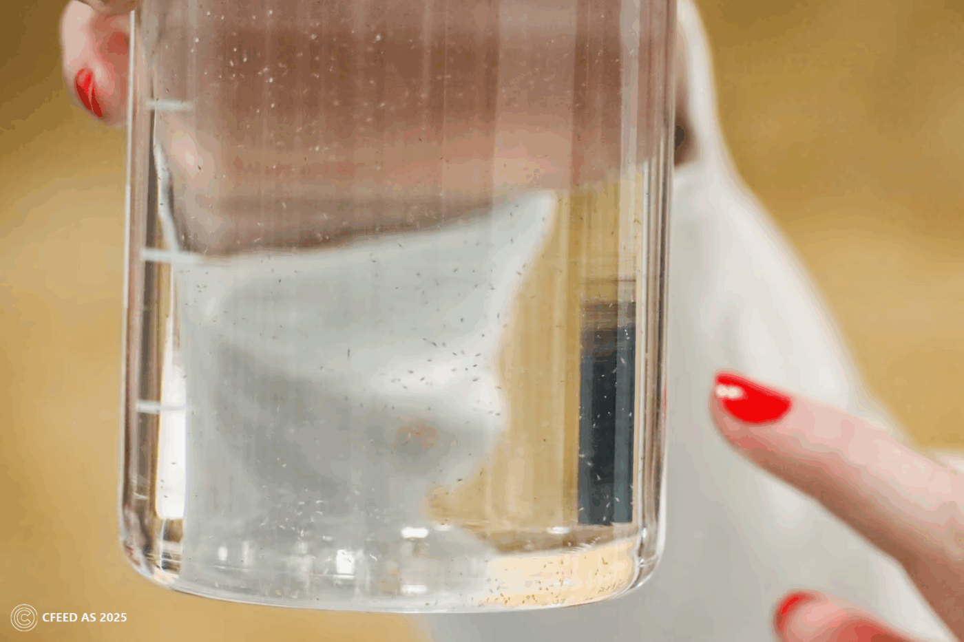 The superfood that is in ever greater demand