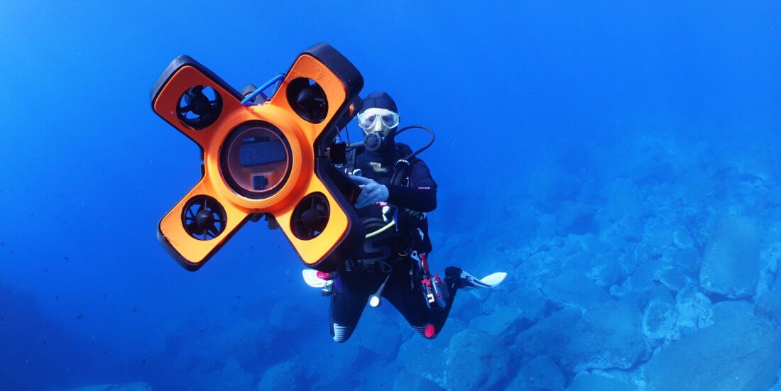 Saving seagrass and French oysters: Fresh solutions breathe new life into Europe’s coastal areas
