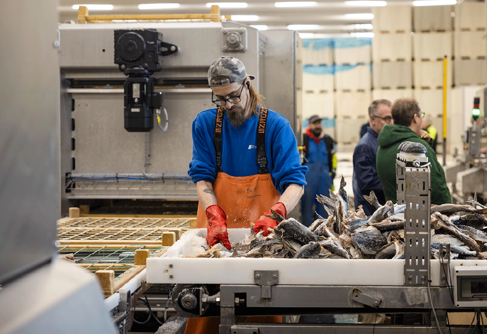 Fish Production Operative This traditional fish processing company increased production by 50 ...