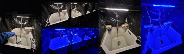 Tanks in different lights