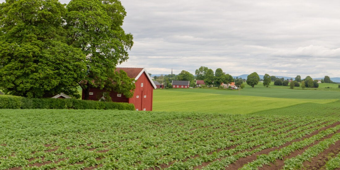 Locally produced food for the armed forces is the new preparedness strategy