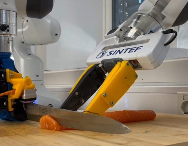 Robot arm cutting sashimi