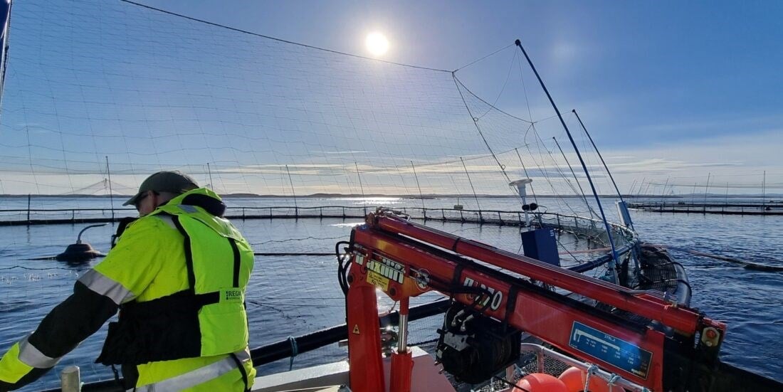 Aquaculture employees enjoy their work, but worry about health and safety